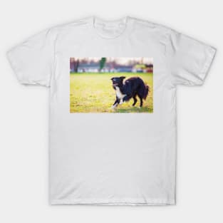 playing Collie T-Shirt